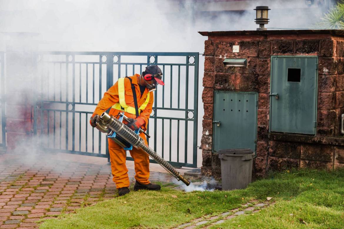 worker-fogging-residential-area-with-insecticides-PHKPWJ4_1-1.jpg