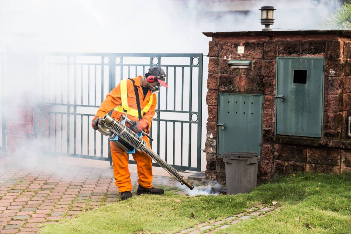 worker-fogging-residential-area-with-insecticides-PHKPWJ4_1.jpg